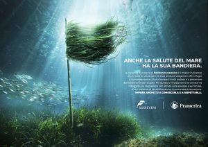 L’intervento sulla spiaggia de Le Gorette ha come obiettivo la promozione di un utilizzo sostenibile della Posidonia spiaggiata e di favorire una buona fruizione della spiaggia e un ripristino della stessa per ridurne la scomparsa a causa dell’erosione costiera