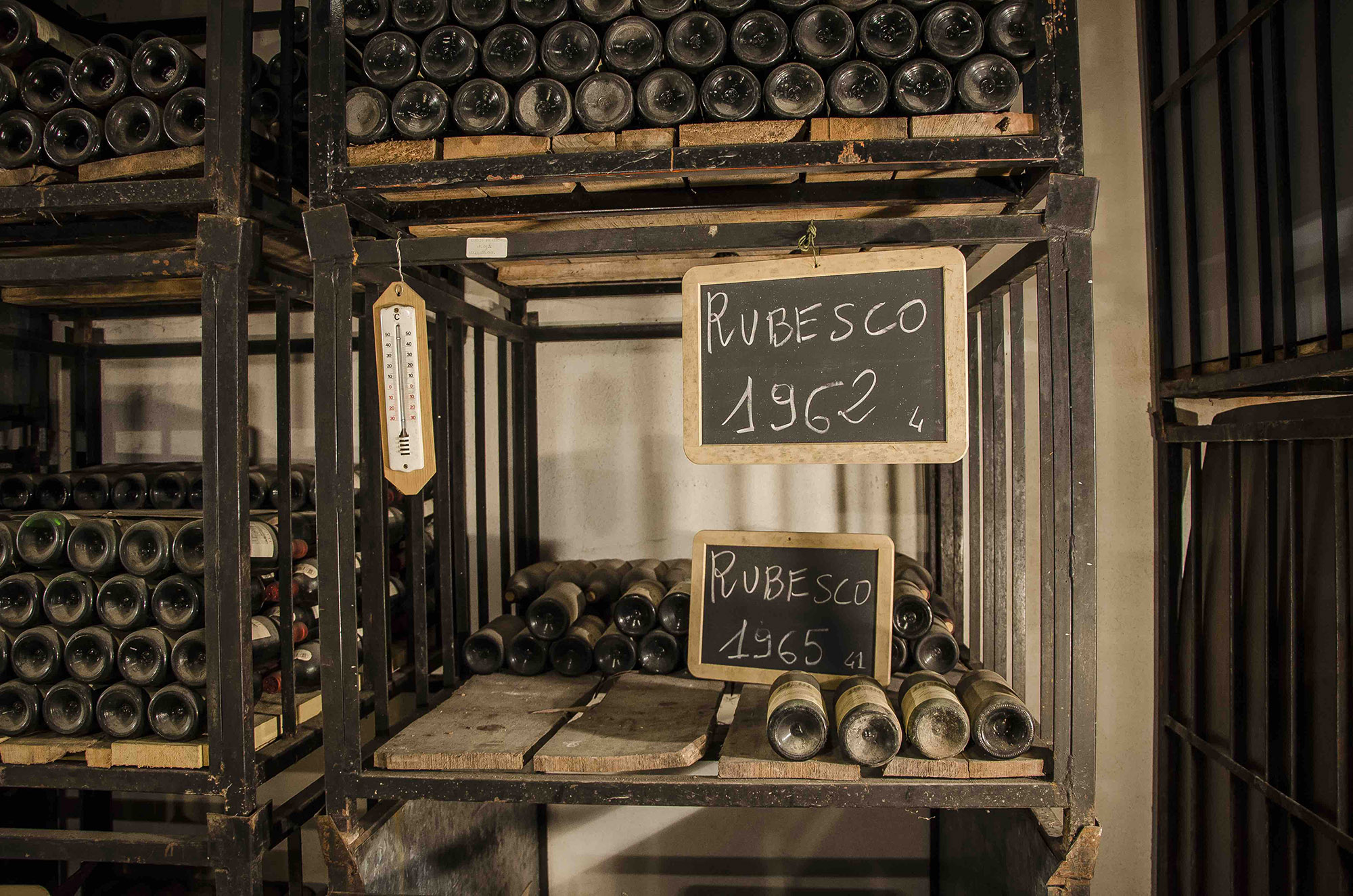 Lungarotti, primo vintage Rubesco