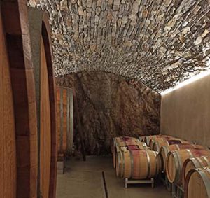 Tenuta Franz Gojer dettaglio della cantina