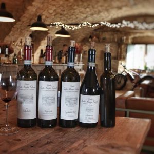 Tenuta Santa Maria Valverde, Vini