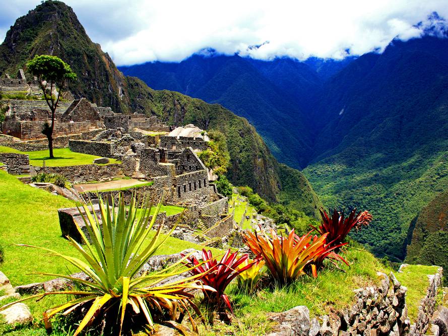 green transition bond sostenibilità cambiamento climatico e fattori esg