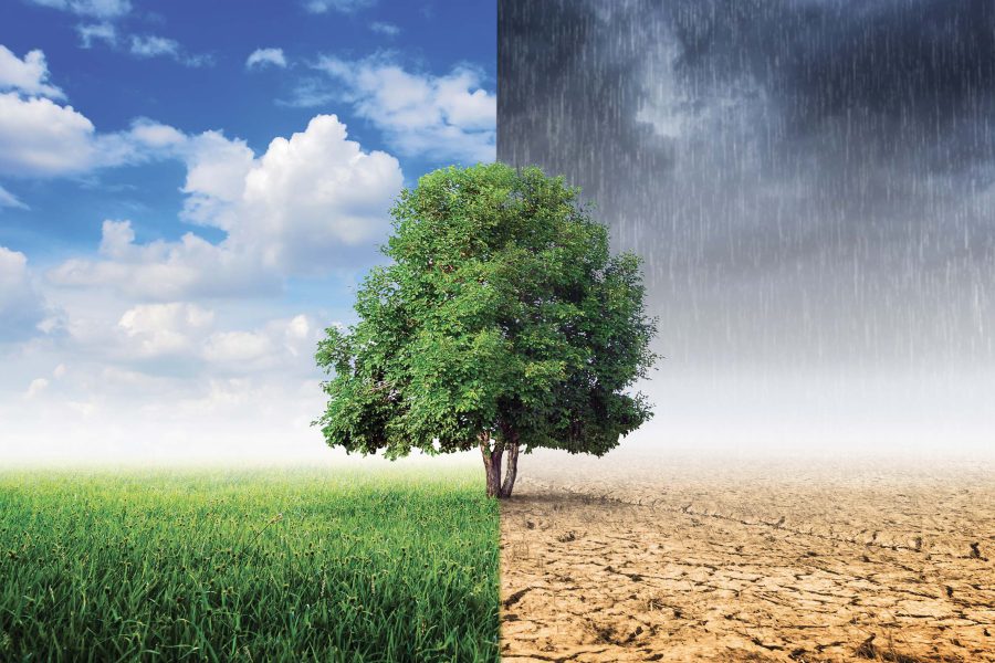 esg e cigno verde del cambiamento climatico, il ruolo dei cda delle aziende