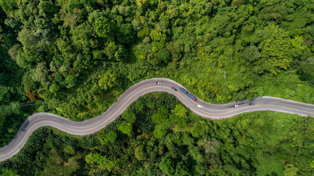 strada lunga e tortuosa coronavirus ripresa
