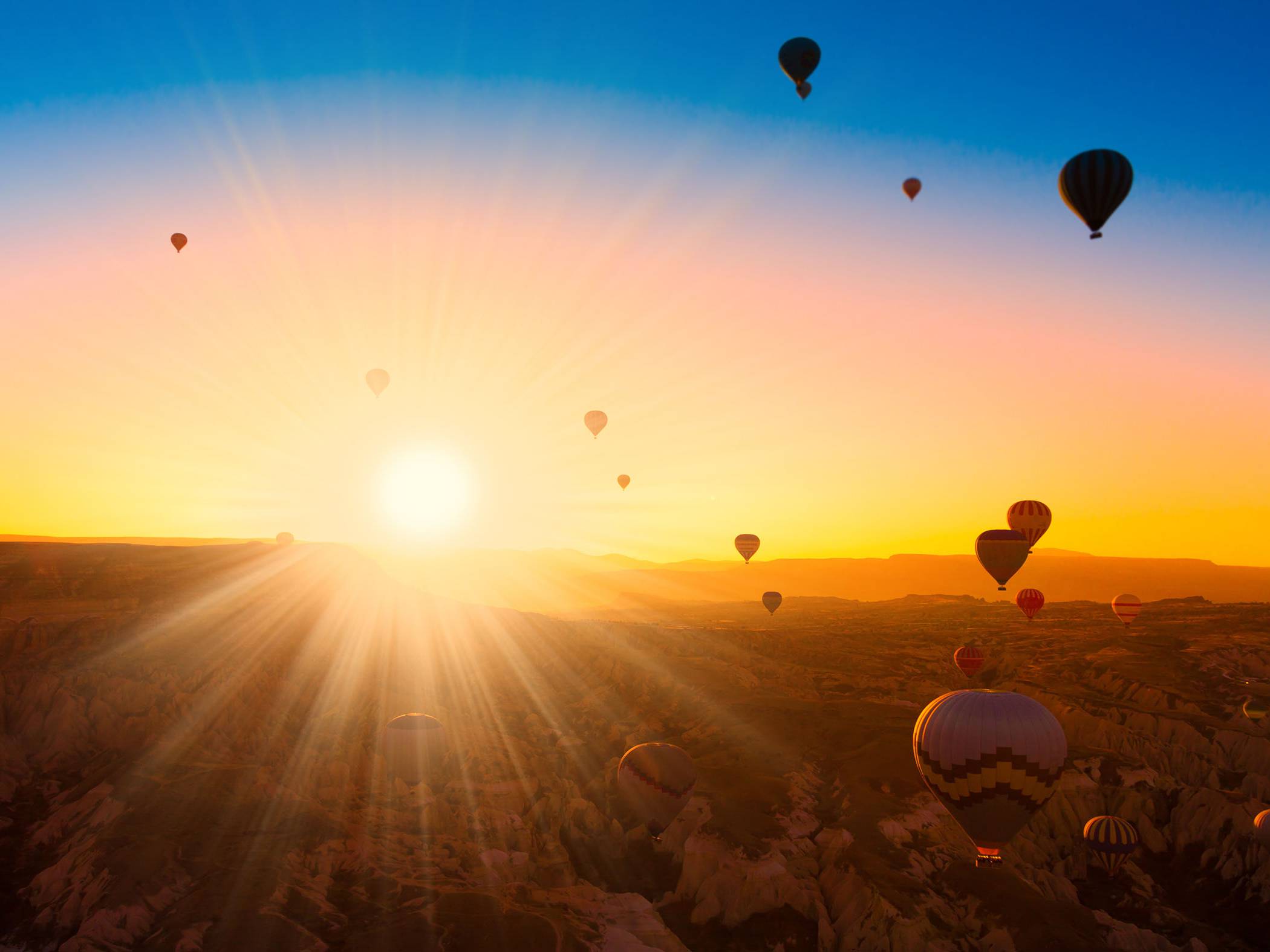 BlueBay Asset Management