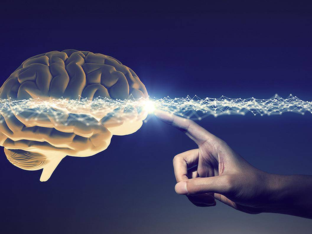 neuroesterica-arte-scienza