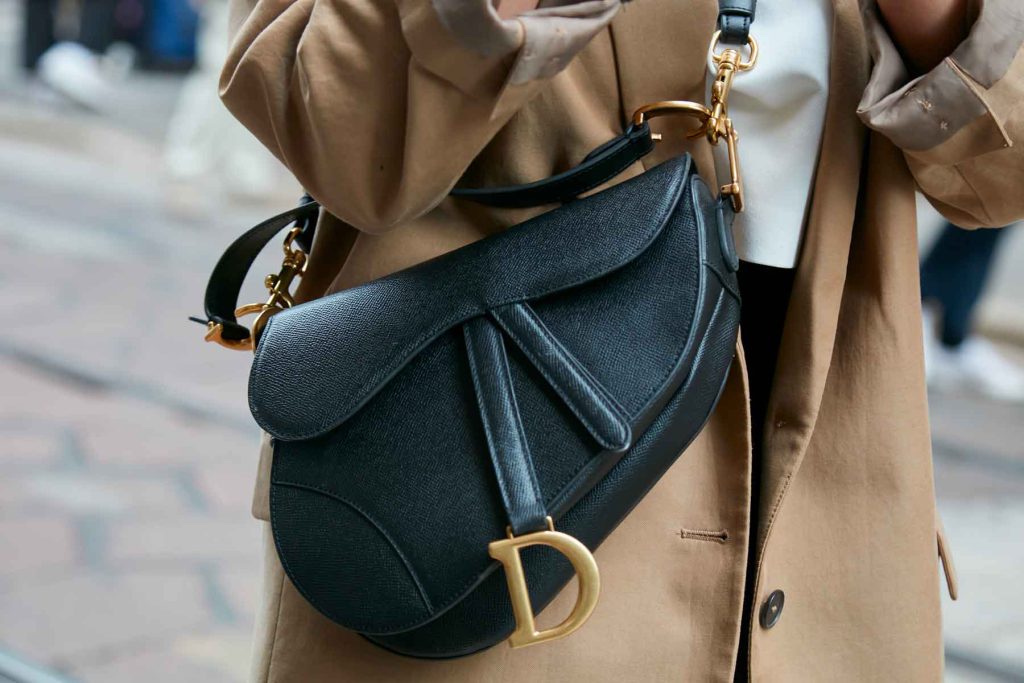 Dior Saddle leather